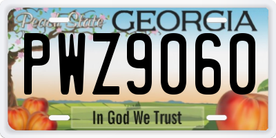 GA license plate PWZ9060