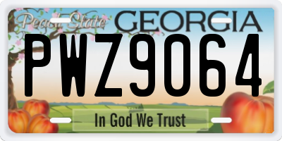 GA license plate PWZ9064