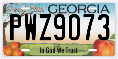 GA license plate PWZ9073