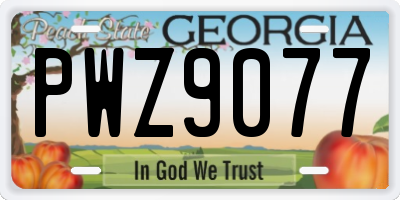 GA license plate PWZ9077