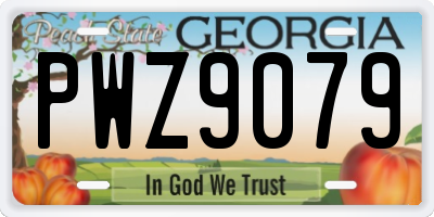 GA license plate PWZ9079