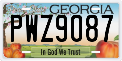 GA license plate PWZ9087