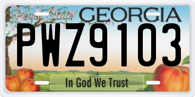 GA license plate PWZ9103