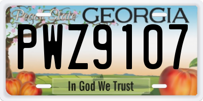 GA license plate PWZ9107