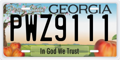 GA license plate PWZ9111