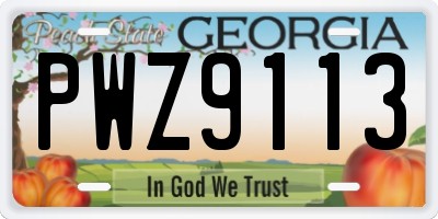GA license plate PWZ9113
