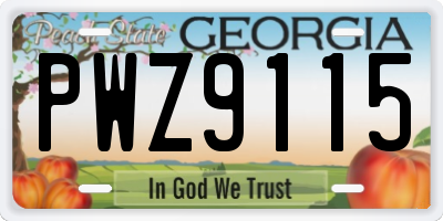 GA license plate PWZ9115