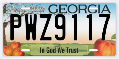 GA license plate PWZ9117