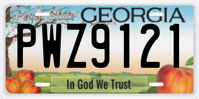 GA license plate PWZ9121