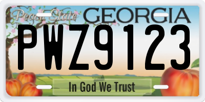 GA license plate PWZ9123