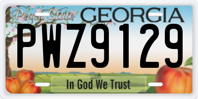 GA license plate PWZ9129