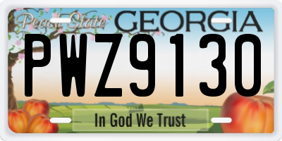 GA license plate PWZ9130