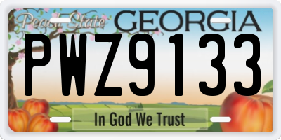 GA license plate PWZ9133