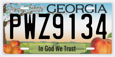 GA license plate PWZ9134