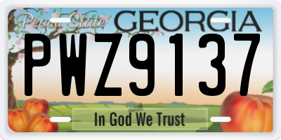 GA license plate PWZ9137