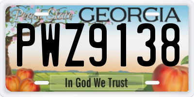 GA license plate PWZ9138