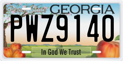 GA license plate PWZ9140