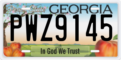 GA license plate PWZ9145