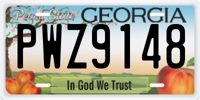 GA license plate PWZ9148