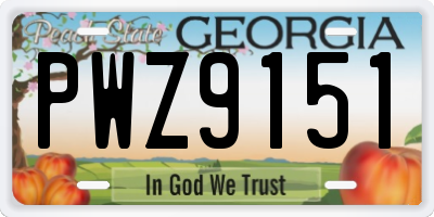 GA license plate PWZ9151