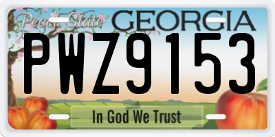 GA license plate PWZ9153