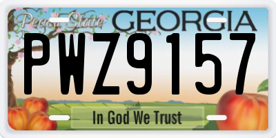 GA license plate PWZ9157