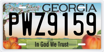 GA license plate PWZ9159