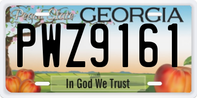 GA license plate PWZ9161