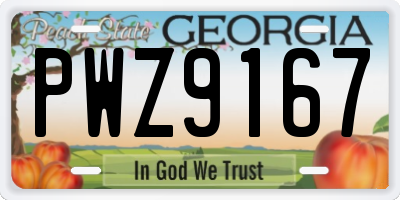 GA license plate PWZ9167