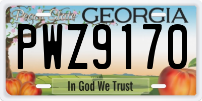 GA license plate PWZ9170
