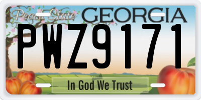 GA license plate PWZ9171