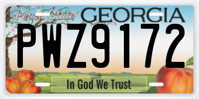 GA license plate PWZ9172