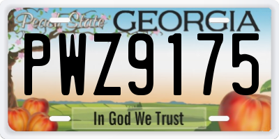 GA license plate PWZ9175