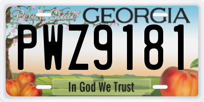 GA license plate PWZ9181