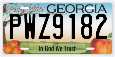 GA license plate PWZ9182