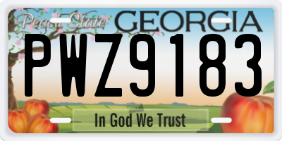 GA license plate PWZ9183