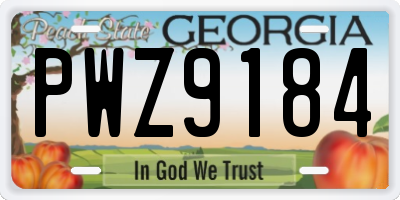 GA license plate PWZ9184