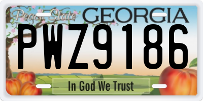 GA license plate PWZ9186