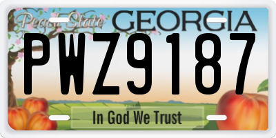 GA license plate PWZ9187