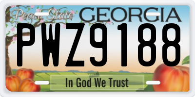 GA license plate PWZ9188