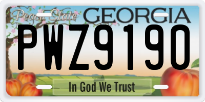 GA license plate PWZ9190