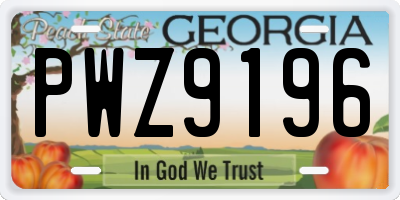 GA license plate PWZ9196