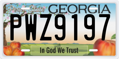 GA license plate PWZ9197