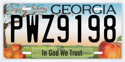 GA license plate PWZ9198