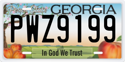 GA license plate PWZ9199