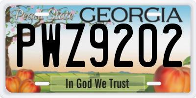 GA license plate PWZ9202