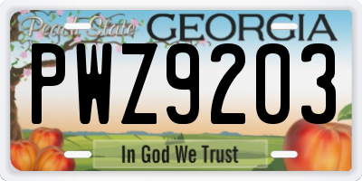 GA license plate PWZ9203