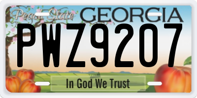 GA license plate PWZ9207