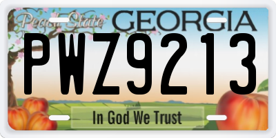 GA license plate PWZ9213