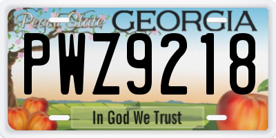 GA license plate PWZ9218